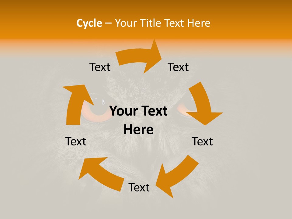 Eagle Head Close Up Eagle Owl PowerPoint Template