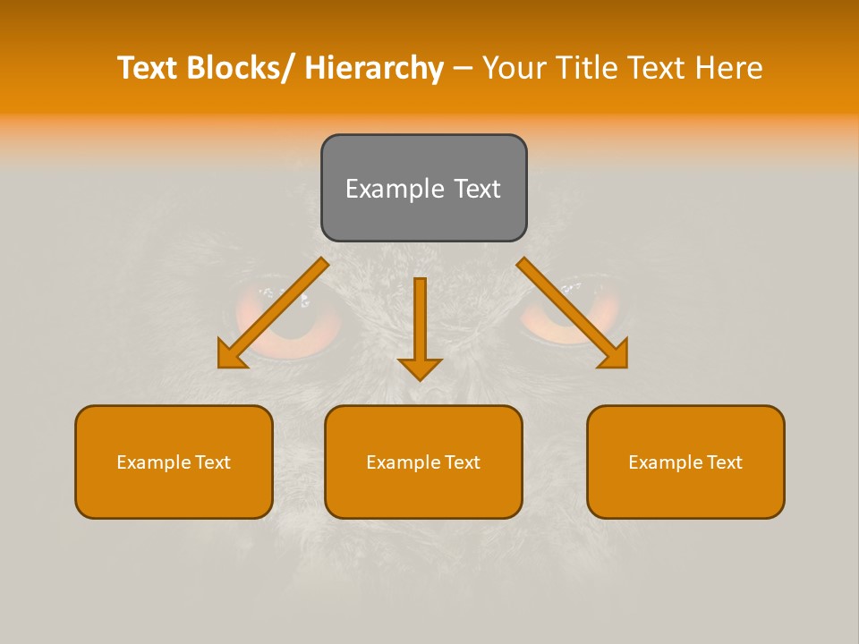 Eagle Head Close Up Eagle Owl PowerPoint Template