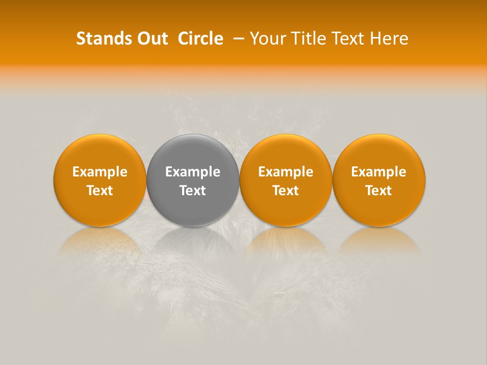 Eagle Head Close Up Eagle Owl PowerPoint Template