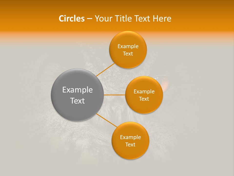 Eagle Head Close Up Eagle Owl PowerPoint Template