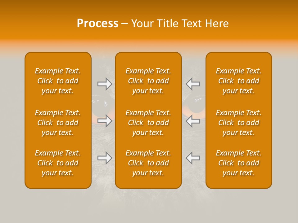 Eagle Head Close Up Eagle Owl PowerPoint Template