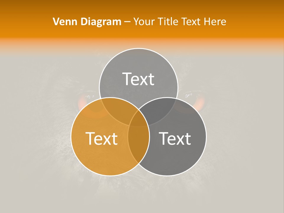 Eagle Head Close Up Eagle Owl PowerPoint Template