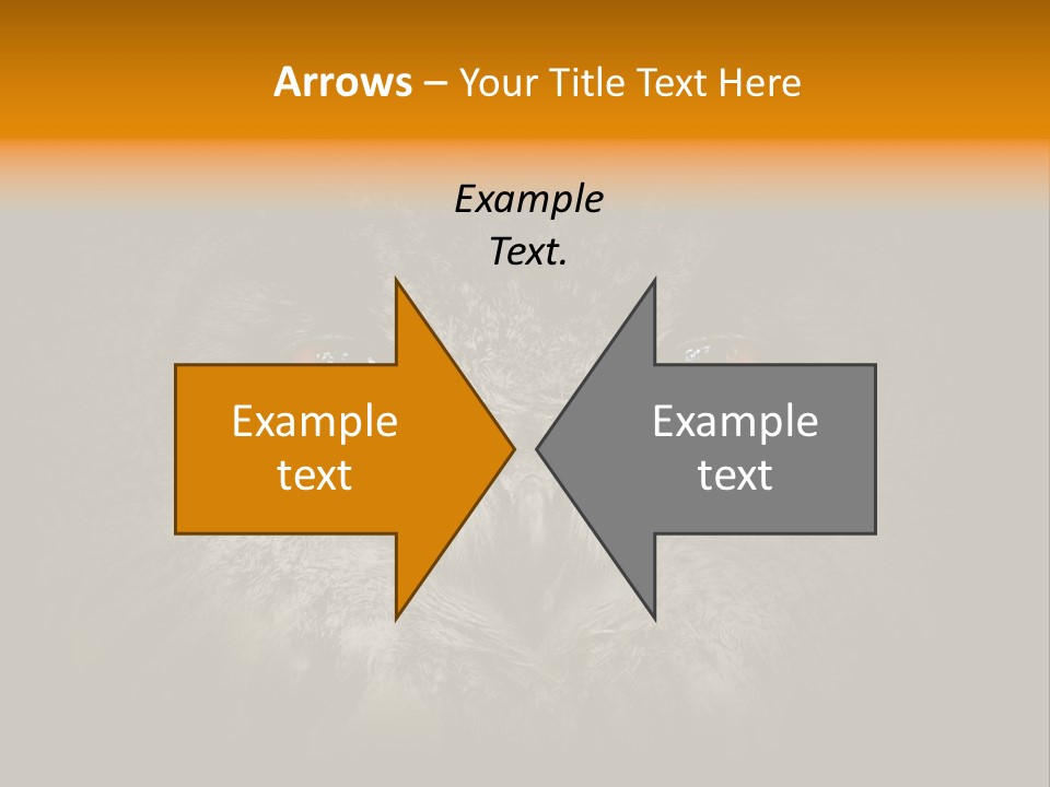 Eagle Head Close Up Eagle Owl PowerPoint Template