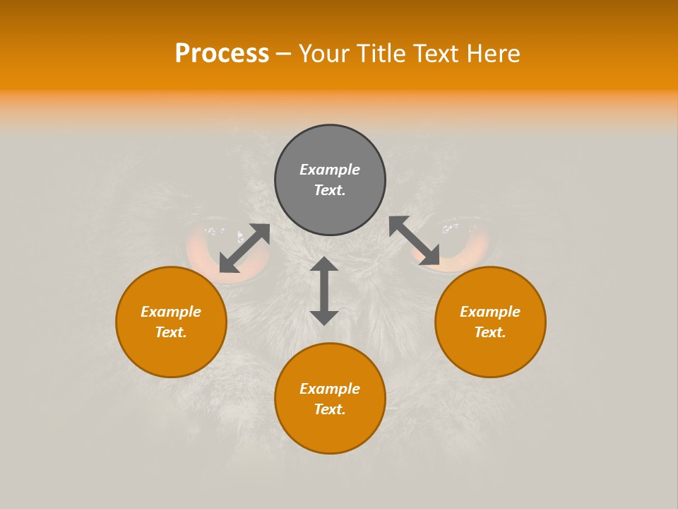 Eagle Head Close Up Eagle Owl PowerPoint Template