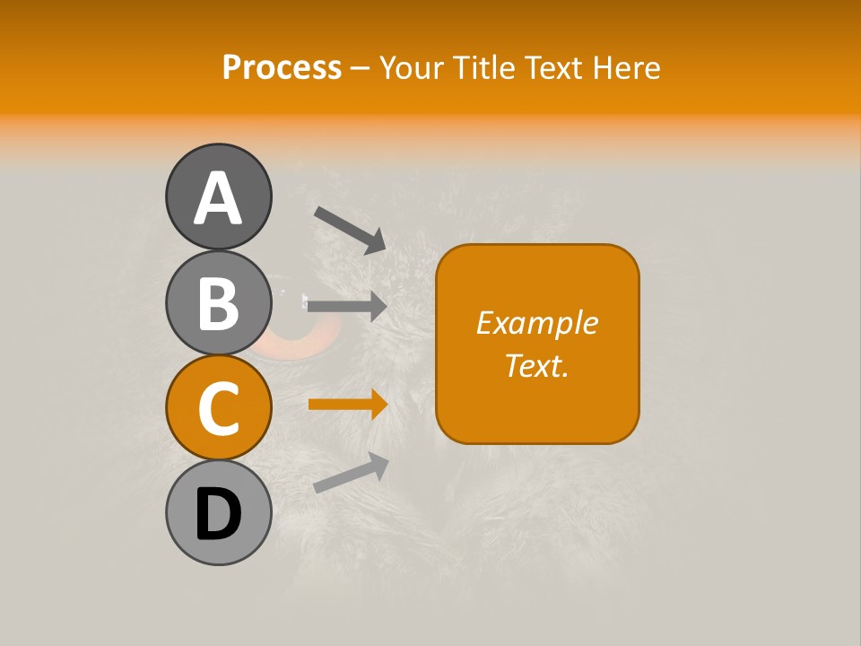 Eagle Head Close Up Eagle Owl PowerPoint Template