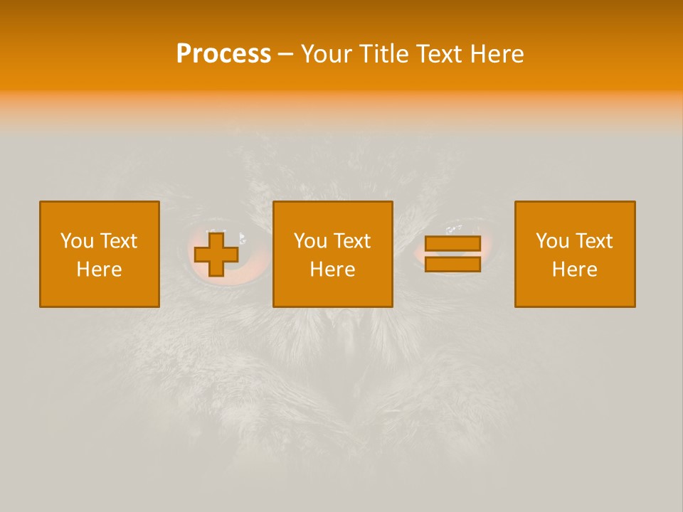 Eagle Head Close Up Eagle Owl PowerPoint Template