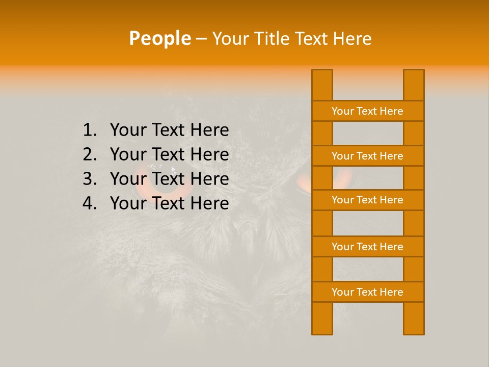 Eagle Head Close Up Eagle Owl PowerPoint Template