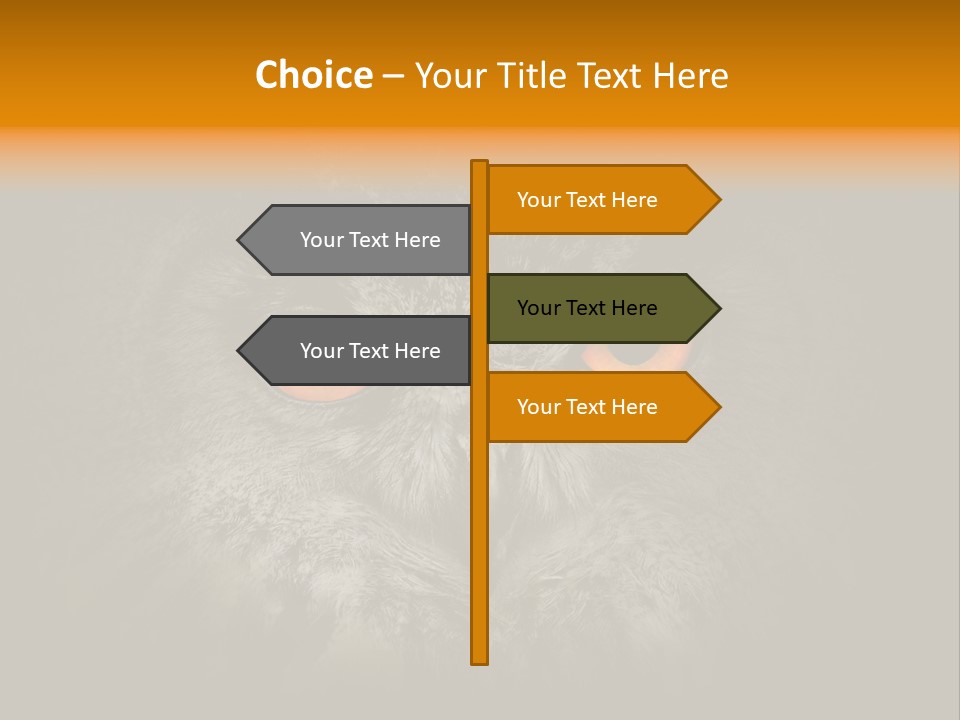 Eagle Head Close Up Eagle Owl PowerPoint Template