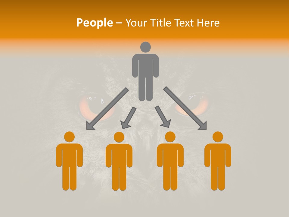 Eagle Head Close Up Eagle Owl PowerPoint Template