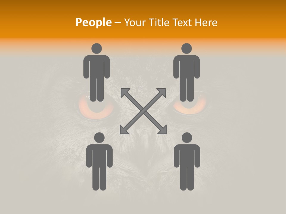 Eagle Head Close Up Eagle Owl PowerPoint Template