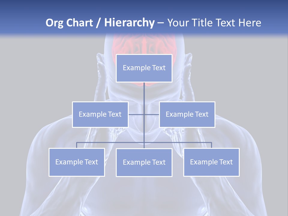 Anatomy Backgrounds Thinking PowerPoint Template