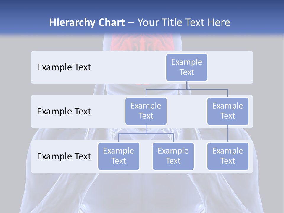 Anatomy Backgrounds Thinking PowerPoint Template