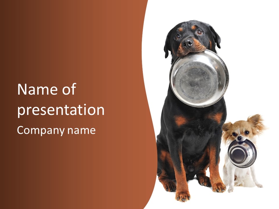 Pet Brown Cute PowerPoint Template