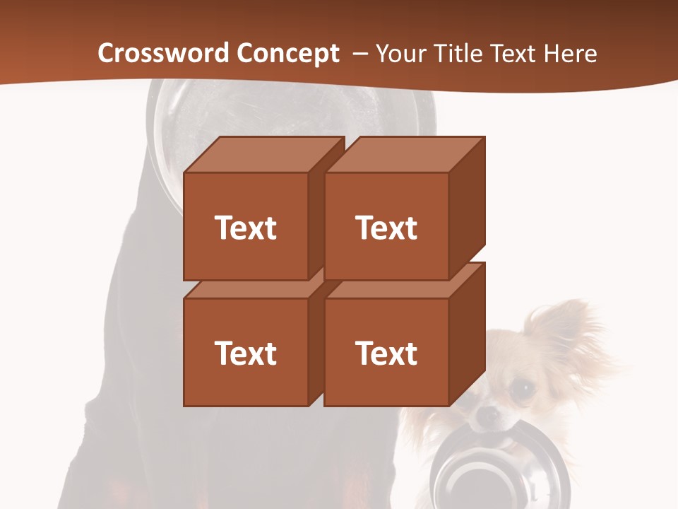 Pet Brown Cute PowerPoint Template