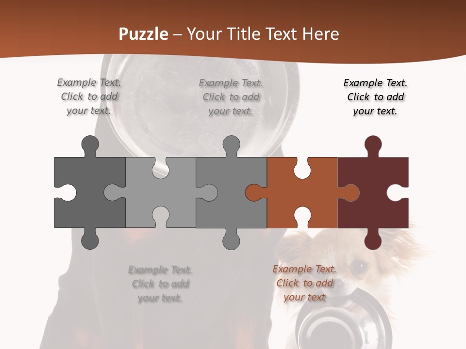 Pet Brown Cute PowerPoint Template