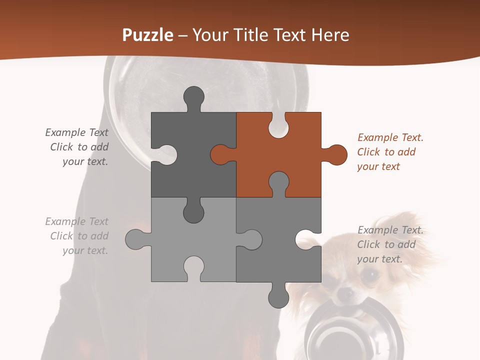 Pet Brown Cute PowerPoint Template