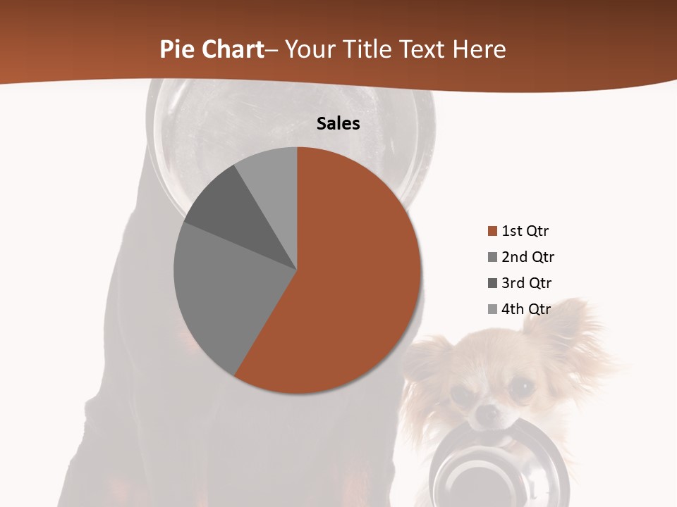 Pet Brown Cute PowerPoint Template