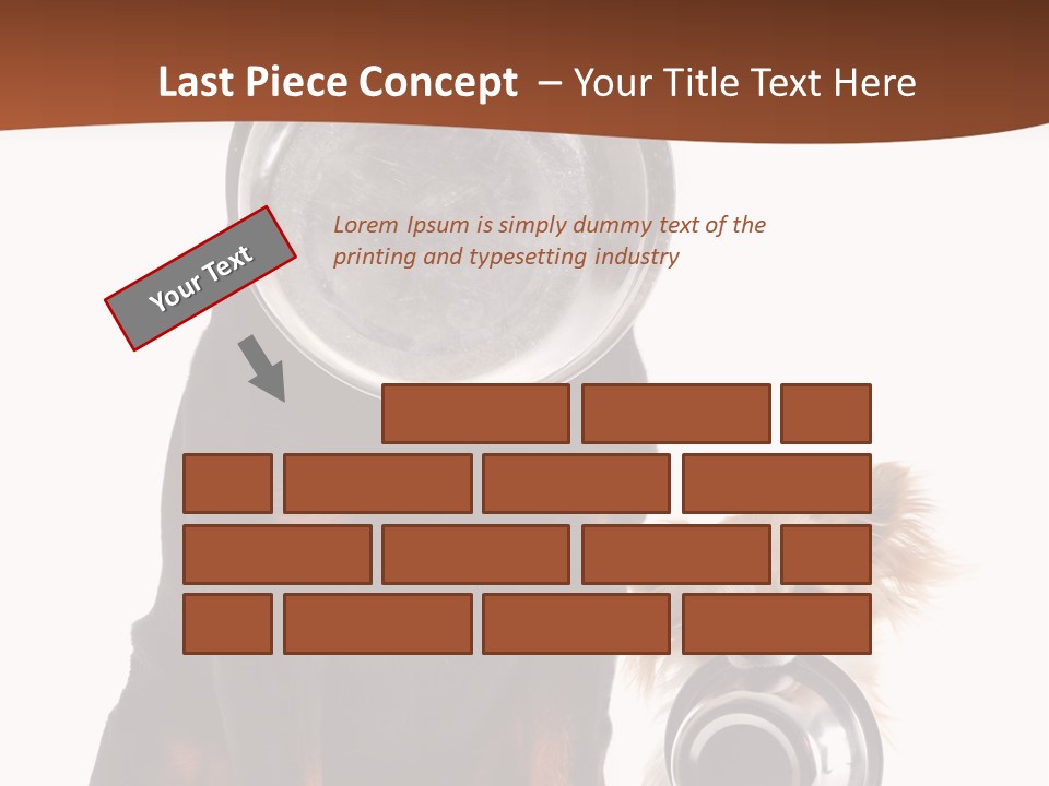 Pet Brown Cute PowerPoint Template