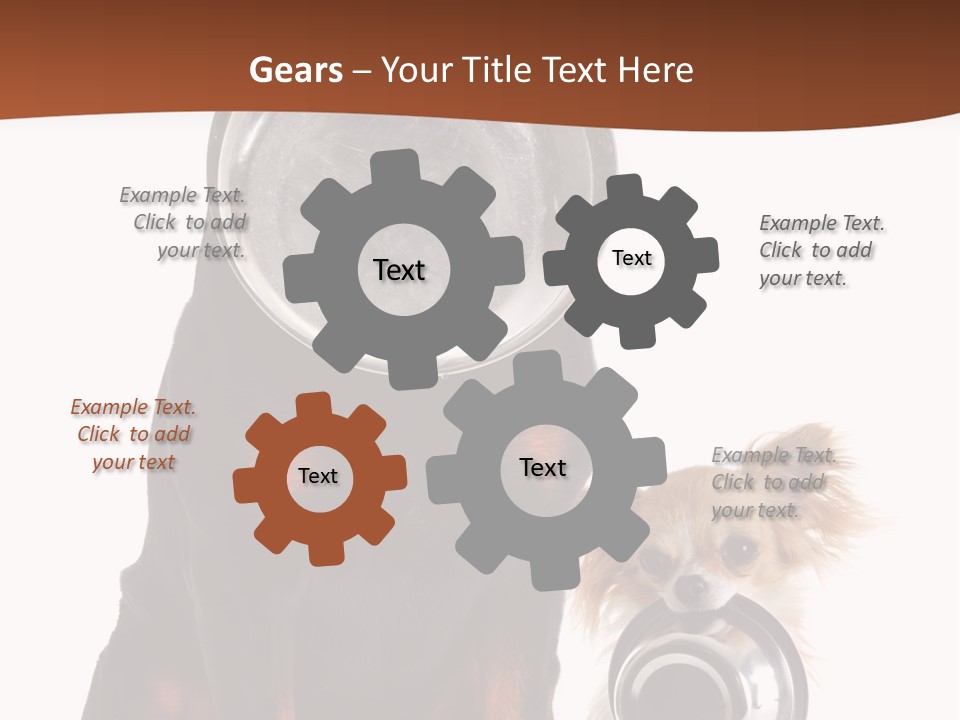 Pet Brown Cute PowerPoint Template