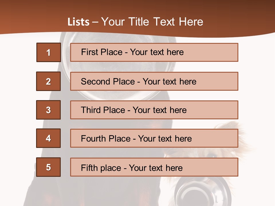 Pet Brown Cute PowerPoint Template