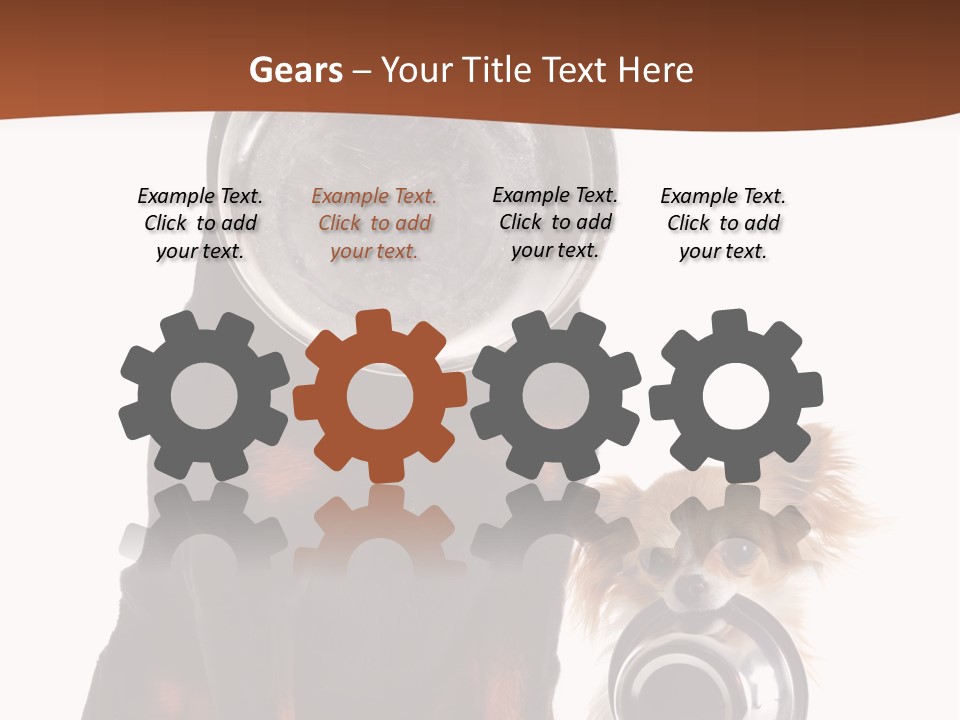 Pet Brown Cute PowerPoint Template