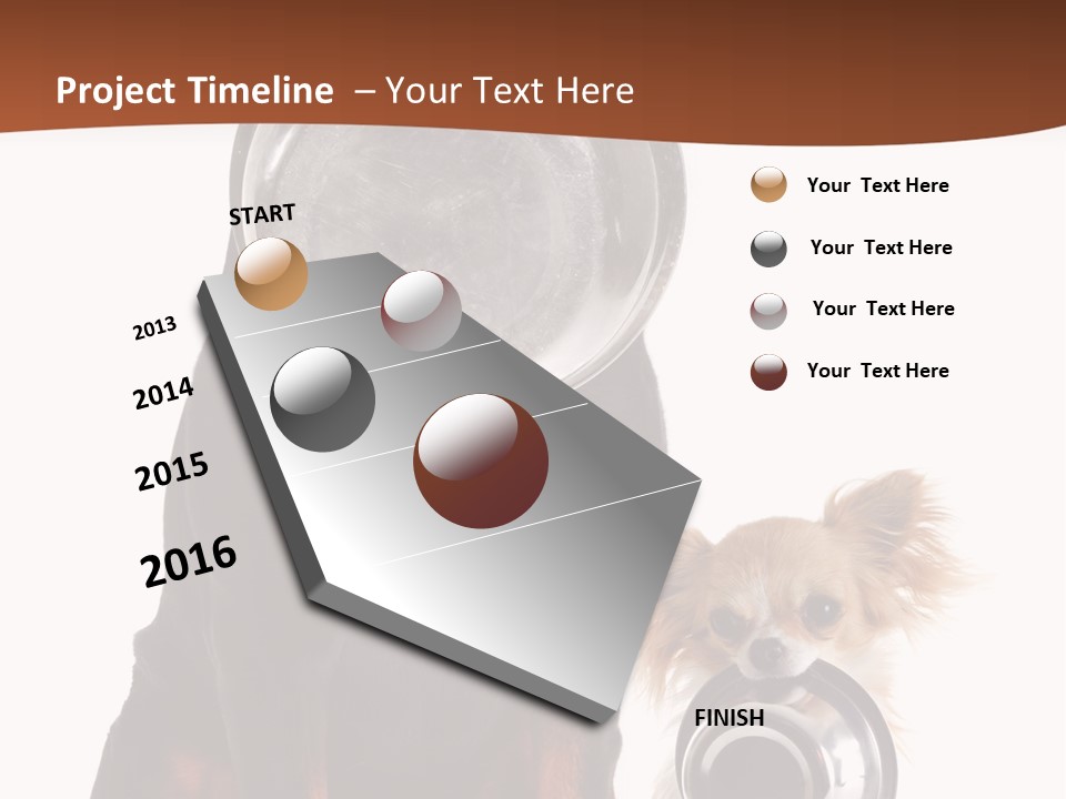 Pet Brown Cute PowerPoint Template