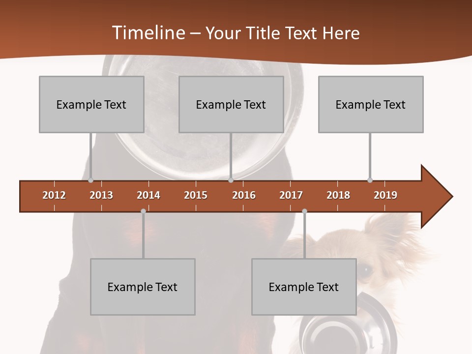 Pet Brown Cute PowerPoint Template