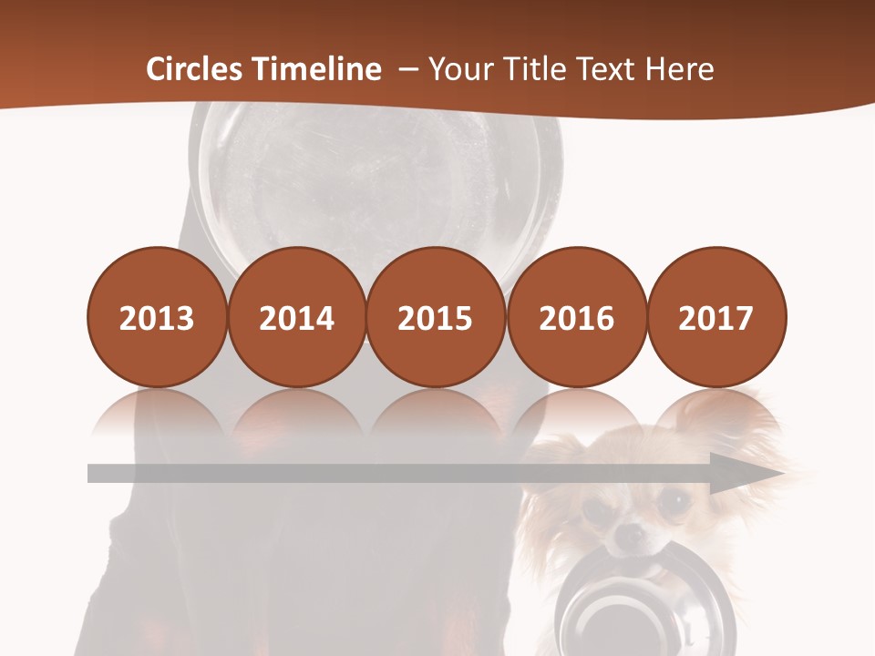 Pet Brown Cute PowerPoint Template