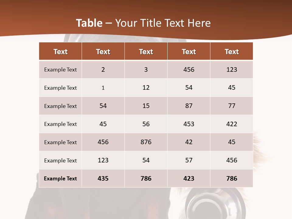 Pet Brown Cute PowerPoint Template