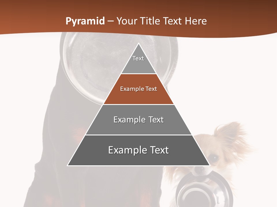 Pet Brown Cute PowerPoint Template