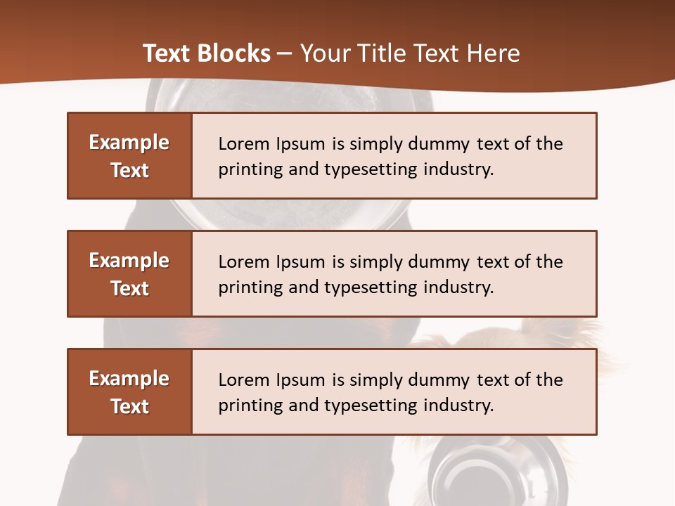 Pet Brown Cute PowerPoint Template