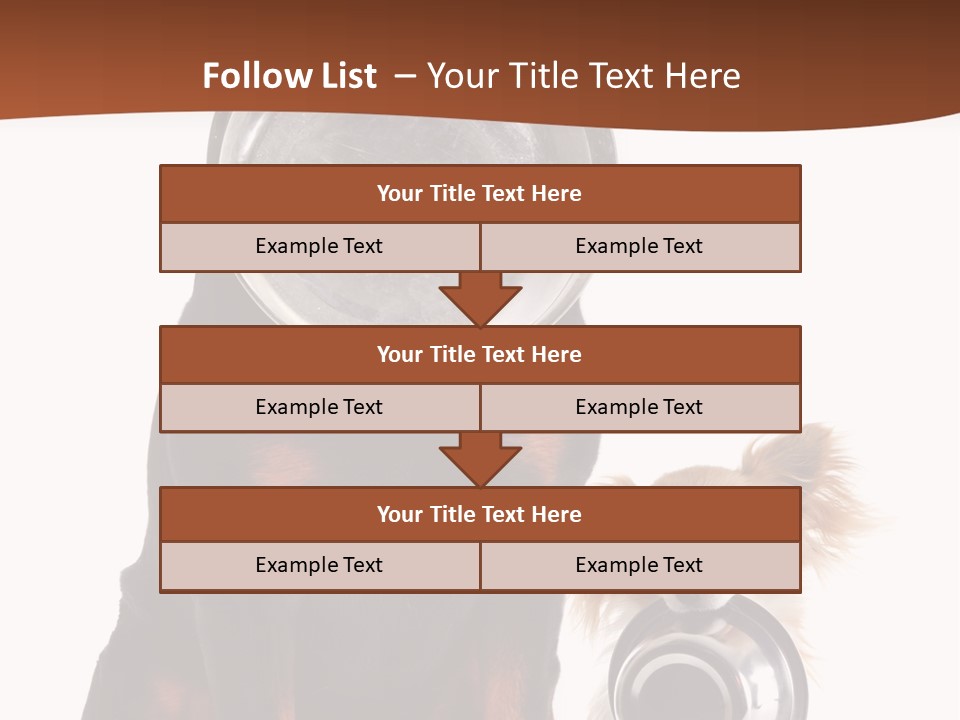 Pet Brown Cute PowerPoint Template