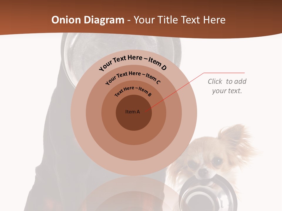 Pet Brown Cute PowerPoint Template