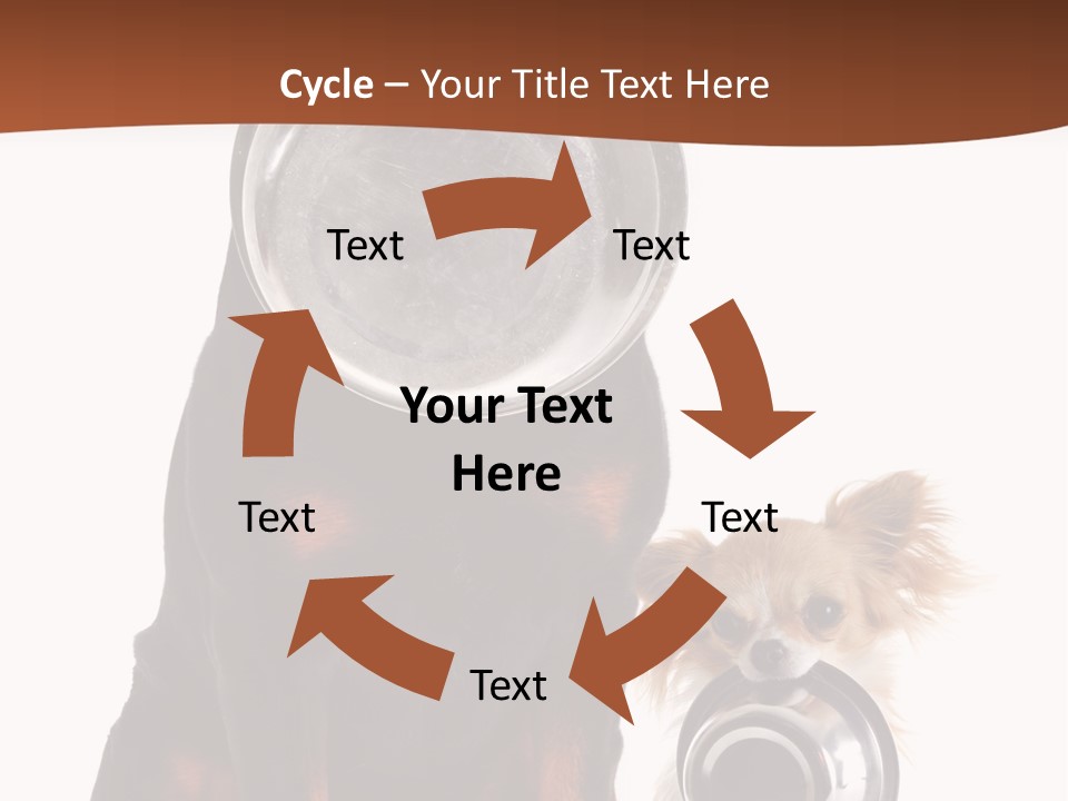 Pet Brown Cute PowerPoint Template