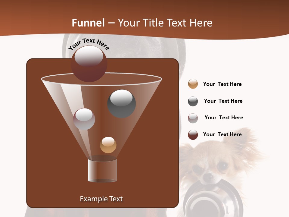 Pet Brown Cute PowerPoint Template