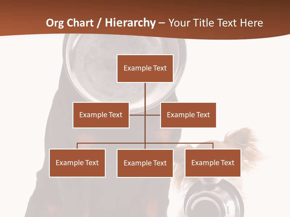 Pet Brown Cute PowerPoint Template