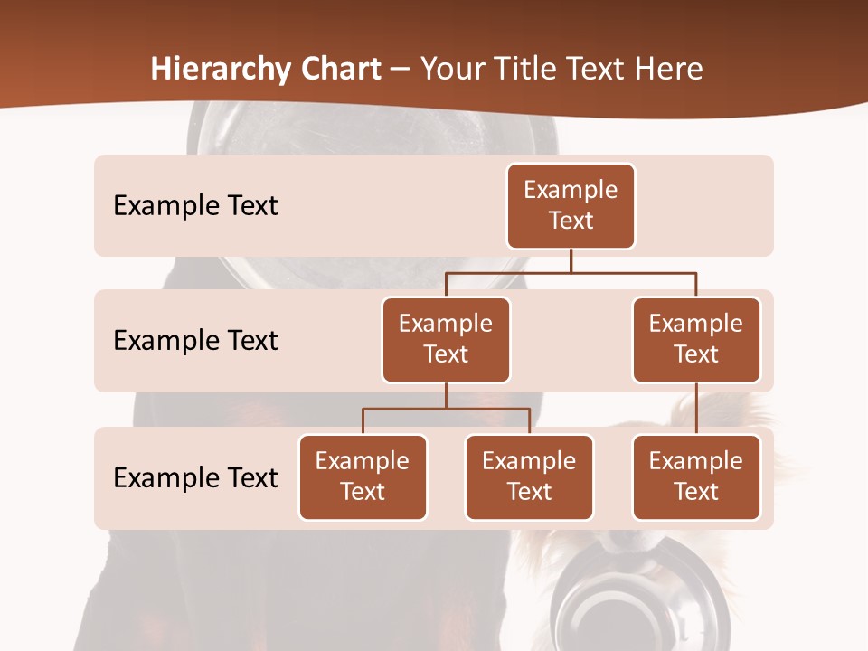 Pet Brown Cute PowerPoint Template
