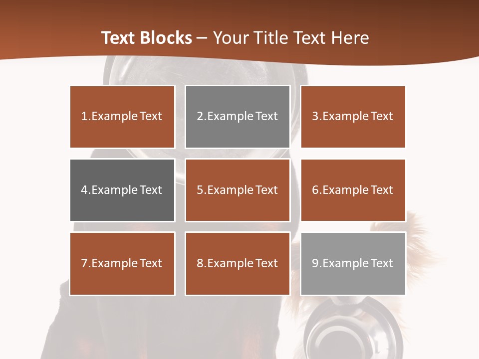 Pet Brown Cute PowerPoint Template