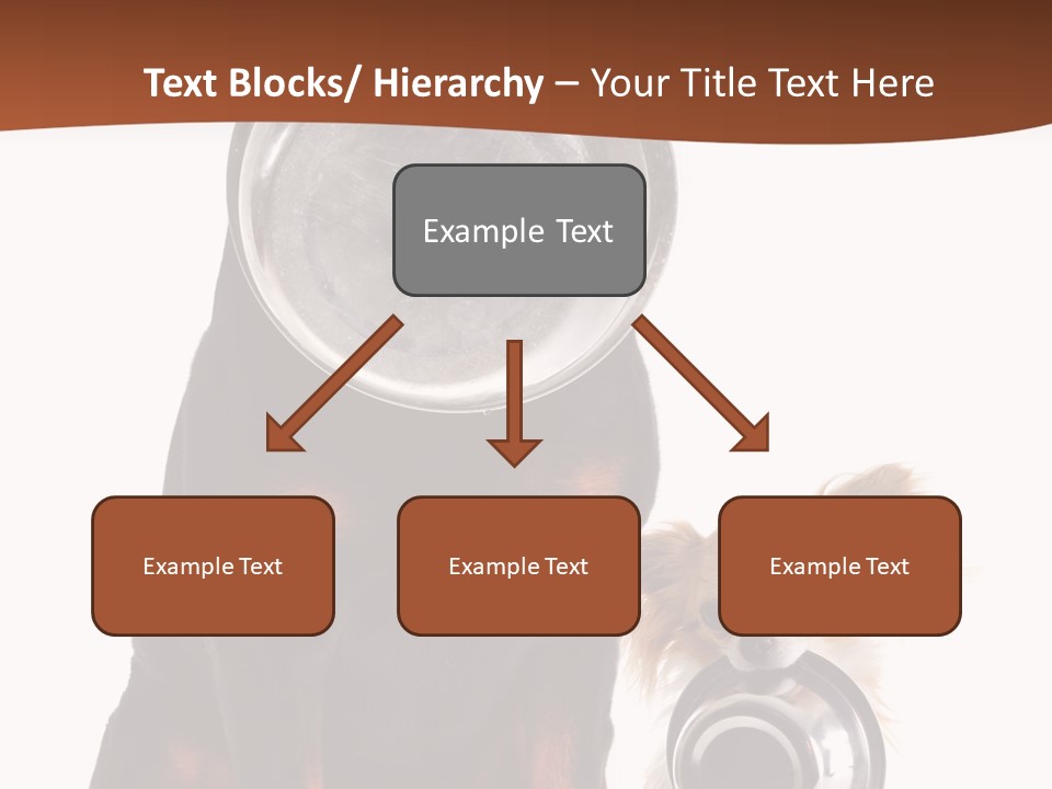 Pet Brown Cute PowerPoint Template