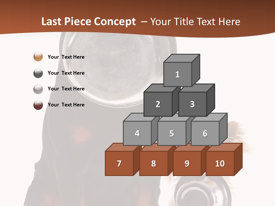 Pet Brown Cute PowerPoint Template