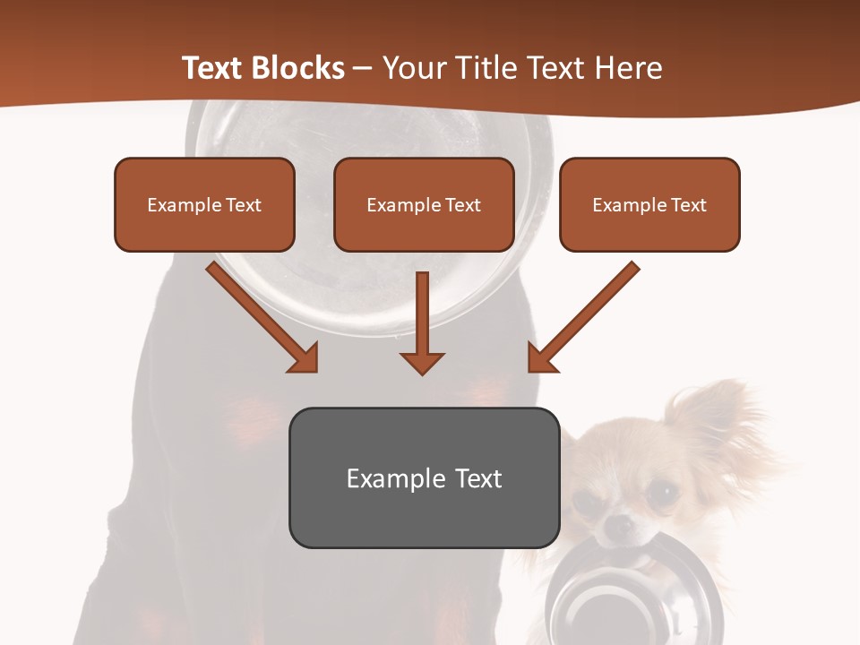 Pet Brown Cute PowerPoint Template
