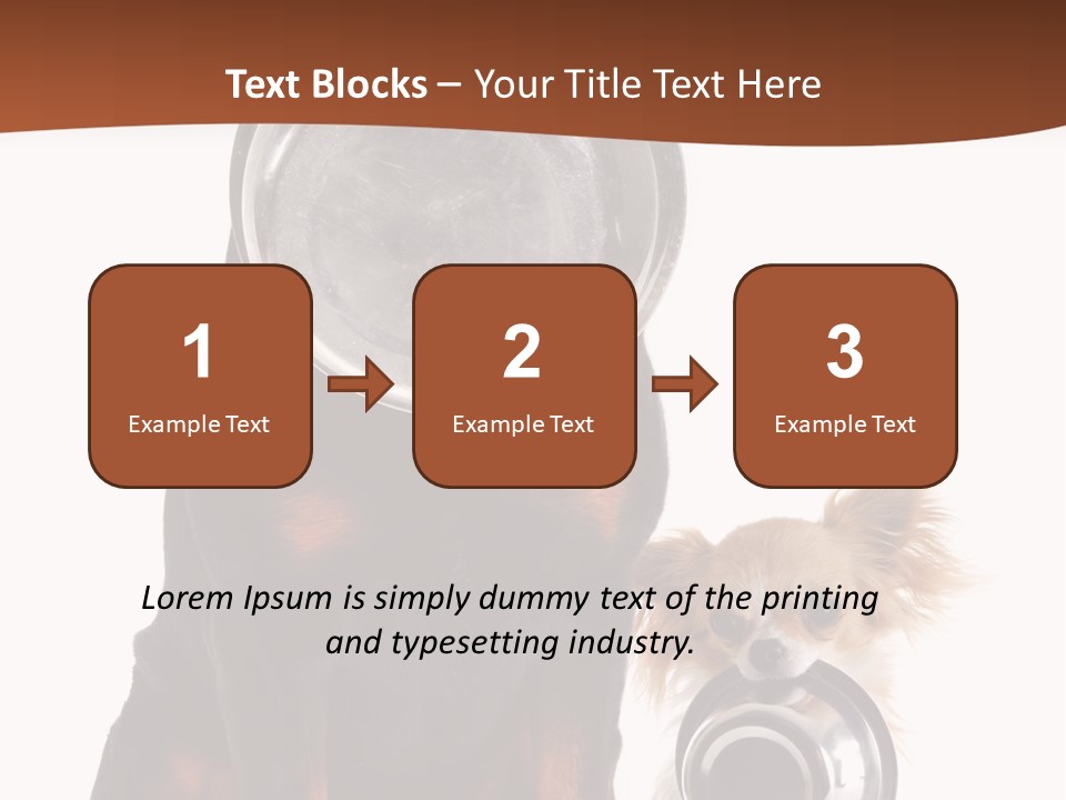 Pet Brown Cute PowerPoint Template
