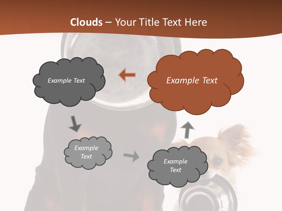 Pet Brown Cute PowerPoint Template