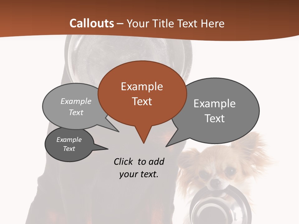 Pet Brown Cute PowerPoint Template