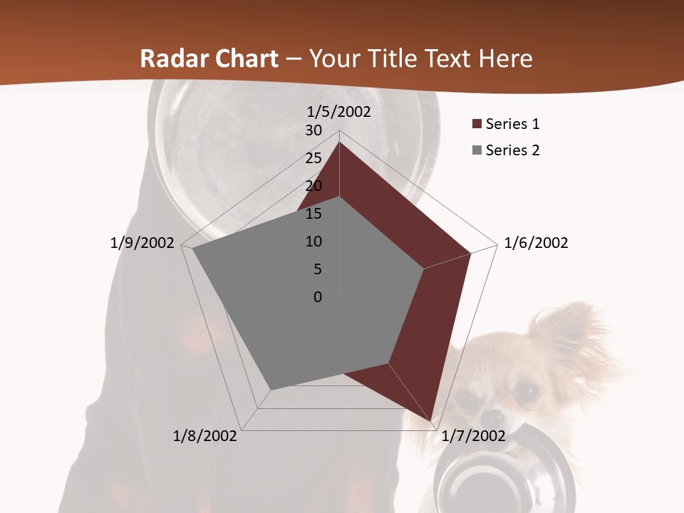 Pet Brown Cute PowerPoint Template