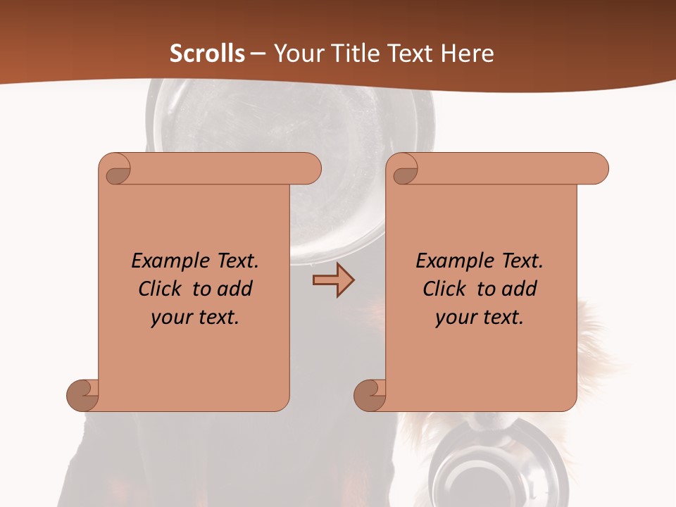 Pet Brown Cute PowerPoint Template