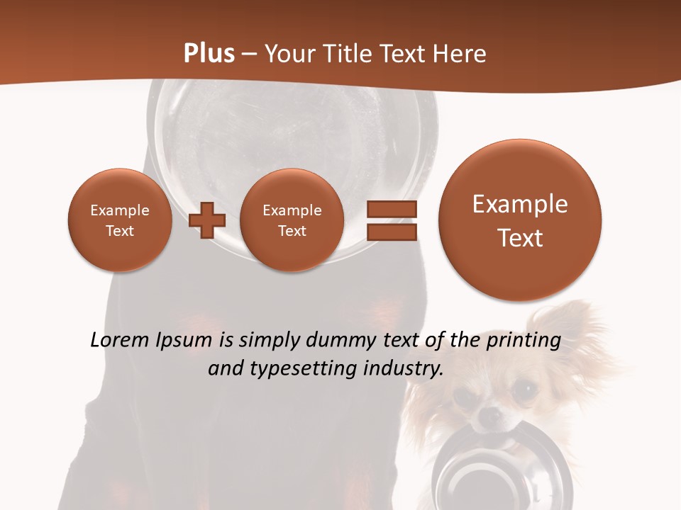 Pet Brown Cute PowerPoint Template