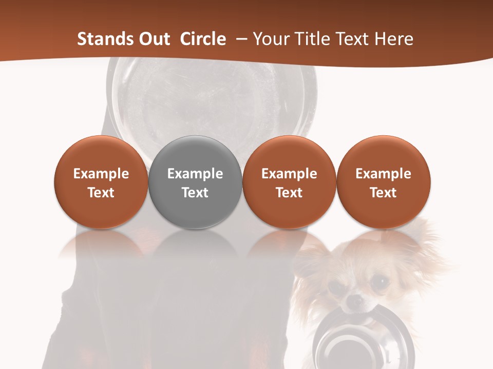 Pet Brown Cute PowerPoint Template