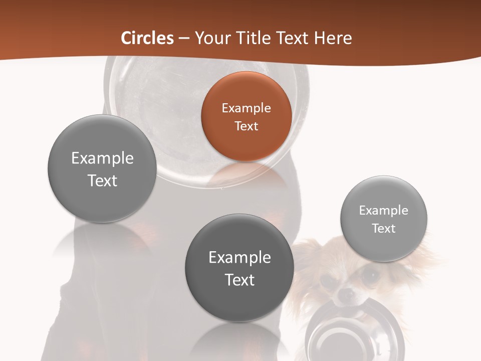 Pet Brown Cute PowerPoint Template