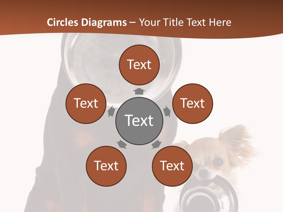 Pet Brown Cute PowerPoint Template